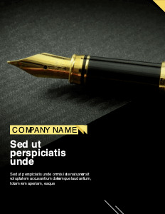 business flyer design business flyer