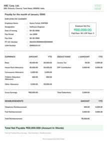 Free Paystub Templates Free Paystub Templates