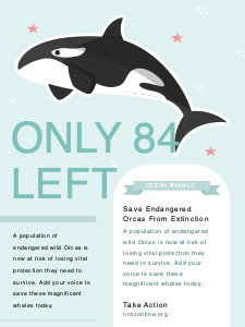 campaign poster templates campaign poster templates