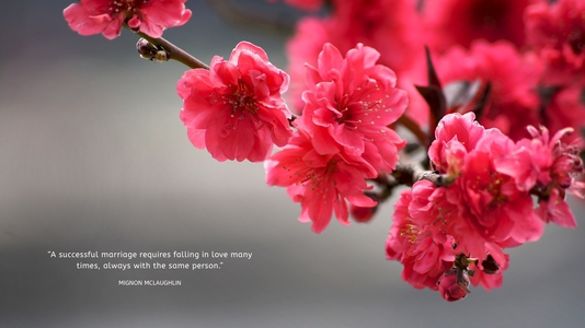 desktop wallpaper floral design desktop wallpaper floral design