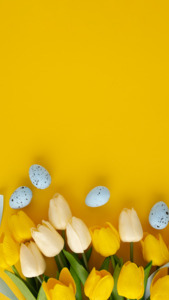 mobile wallpaper floral design mobile wallpaper floral design